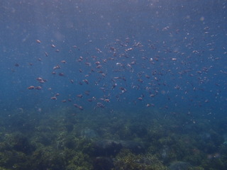 P7210308
