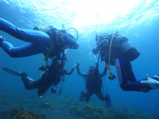 M0017666