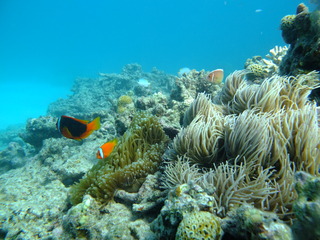 DSCF9845