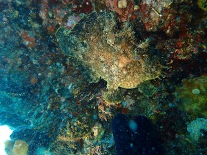 P3300182
