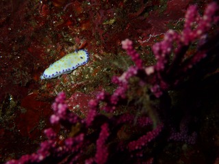 P6090945