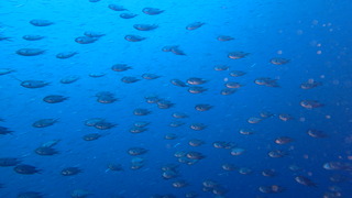 P3210328