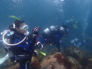 P5300241