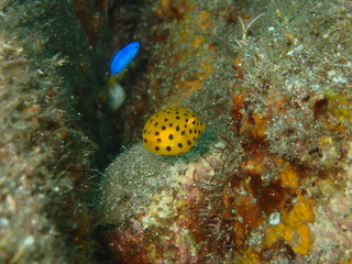 P9030243