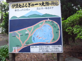 M0017799
