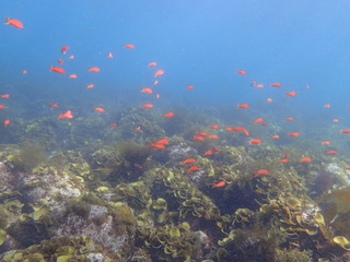 P3170067