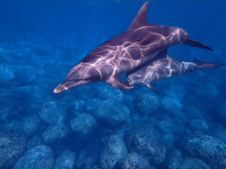 P9100940