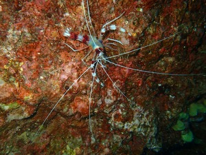 P1190067