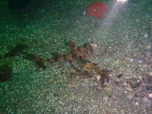 P5060012