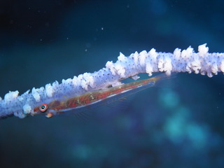 M1040276