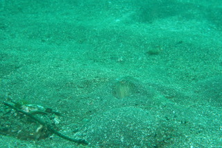 DSC02027