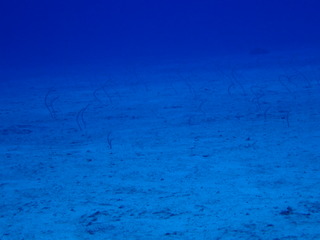 P1230312