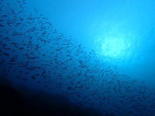 P2110087