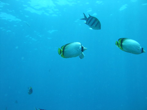 2008_0824200808230092