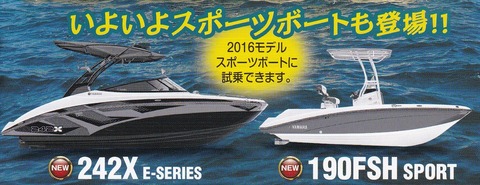 IMG_20160309_0007 (3)