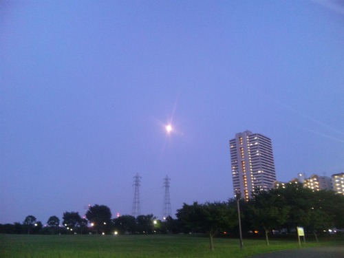 SH3J0455