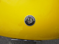IMGP0029