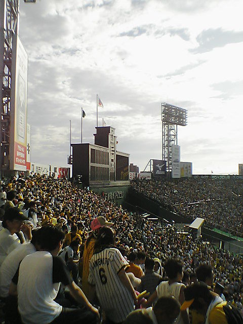 54888b50.jpg