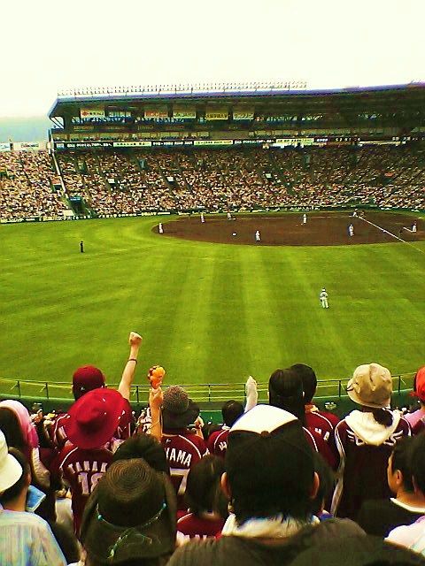 f09f6605.jpg