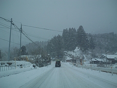 DSC00661