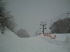 DSC00737