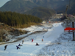 DSC00626