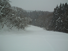 DSC00714