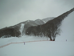 DSC00873