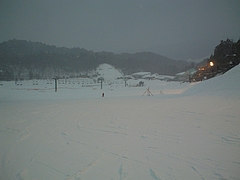 DSC00711