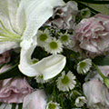 88d80c51.jpg