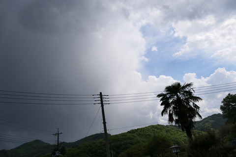 P1000470