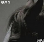 トラコミュ