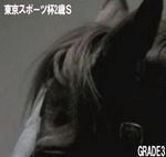 トラコミュ