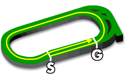 東京芝2500m