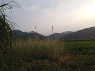 2014-06-26-17-47-58