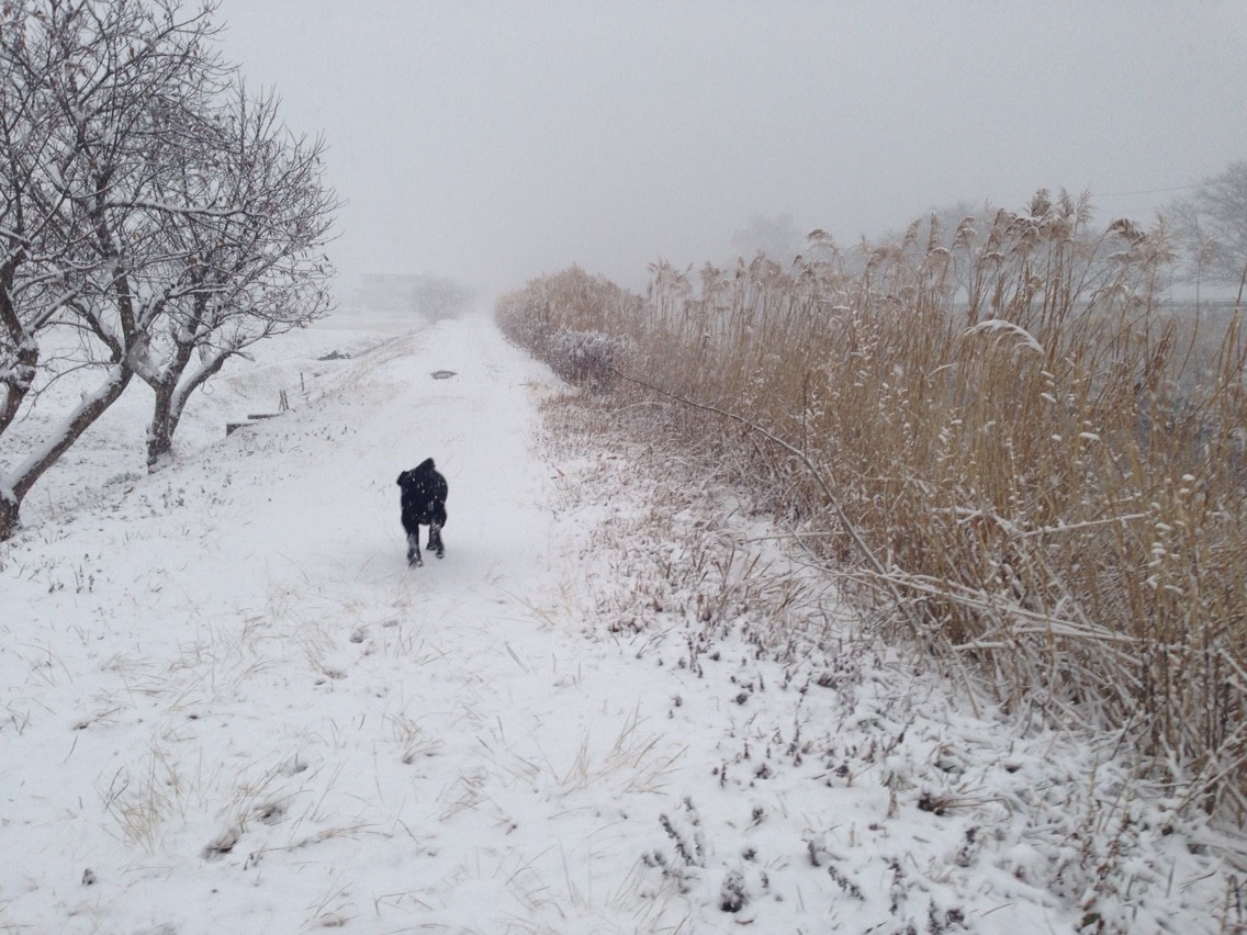 2015-01-01-15-46-11