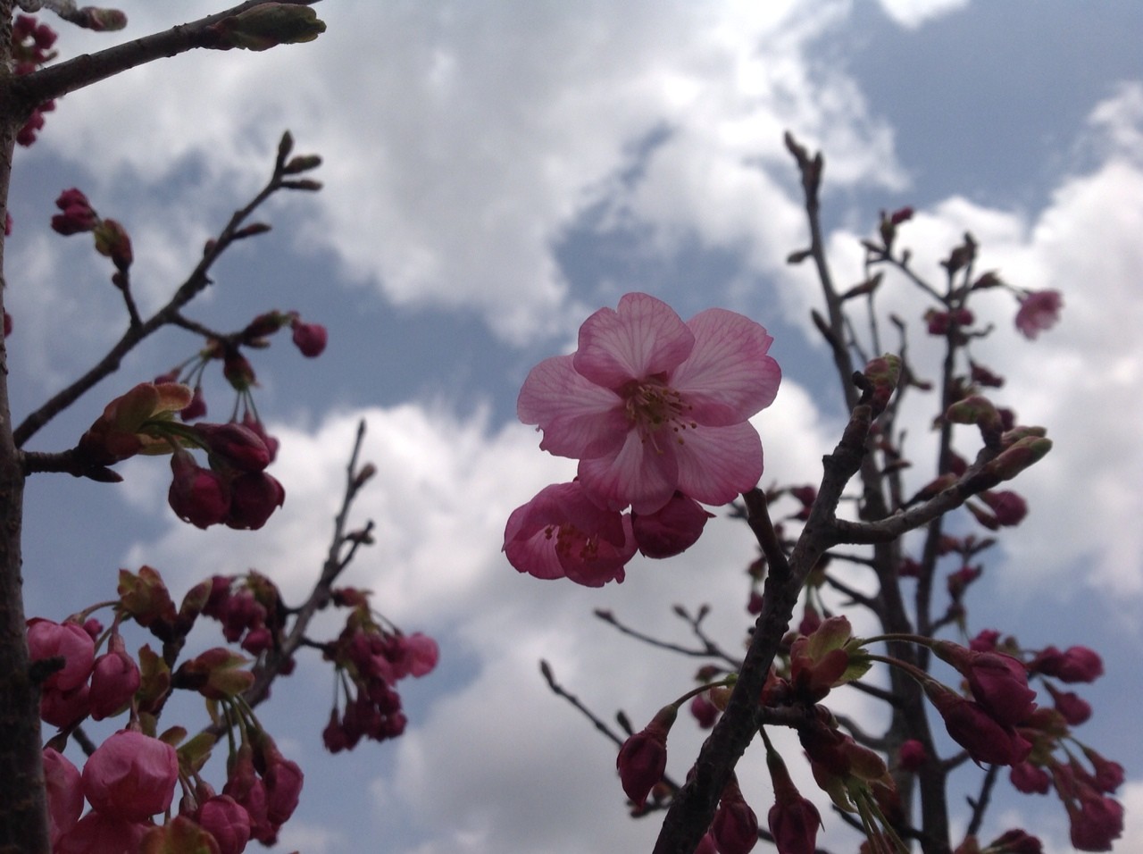 2014-04-03-11-25-55
