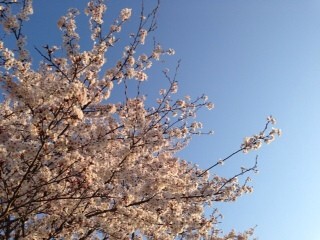 2014-04-14-06-37-43