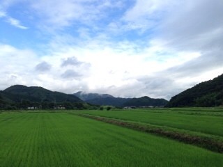 2014-07-10-17-09-07