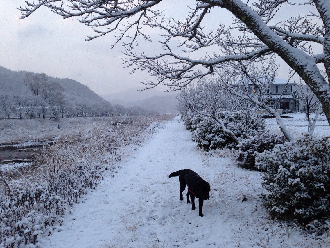 2015-01-31-07-22-57