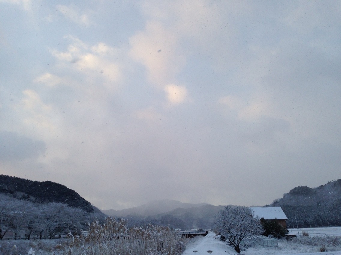 2015-01-31-07-19-20