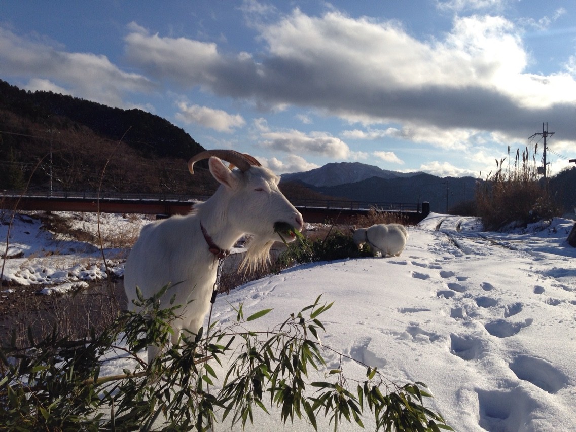 2015-01-03-15-03-04