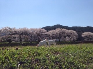 2014-04-14-10-03-30