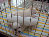 DSC09159