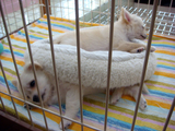 DSC09160