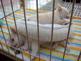 DSC09161