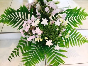 紫陽花