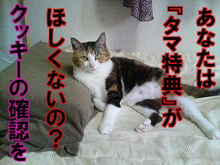 タマ特典をもらってください。