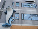 Img_0586