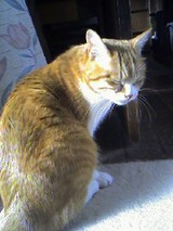 705bcb7e.jpg